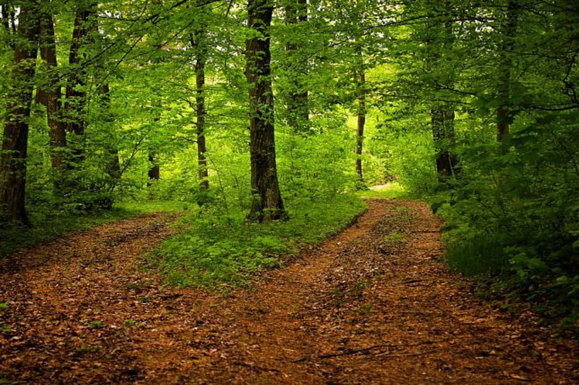 Μελέτη: Η φυσιολατρία είναι εν μέρει κληρονομική και θέμα γονιδίων