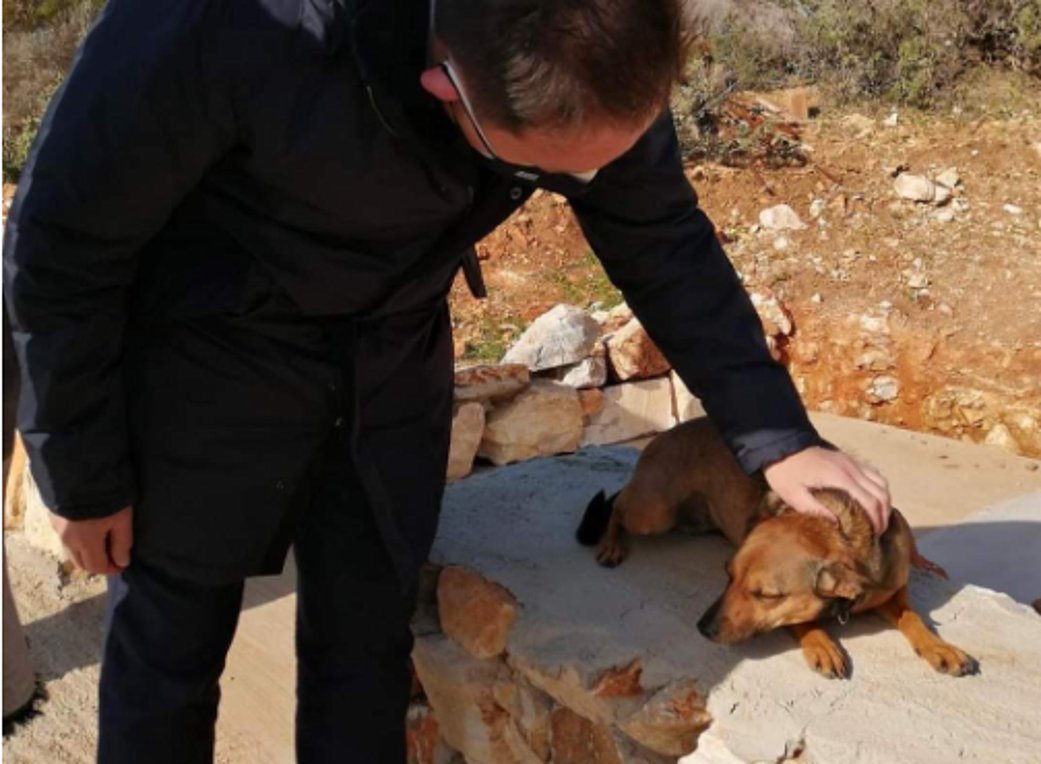 Πέτσας: «Μέγα-πρόγραμμα στειρώσεων για τα αδέσποτα ζώα συντροφιάς»