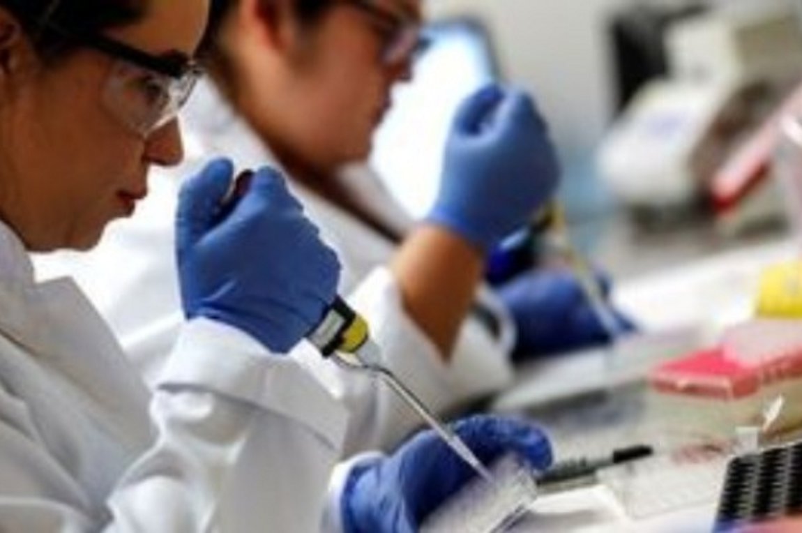 Ευλογιά των πιθήκων: Τα τέσσερα αναπάντητα ερωτήματα -Τι προβληματίζει τους ειδικούς