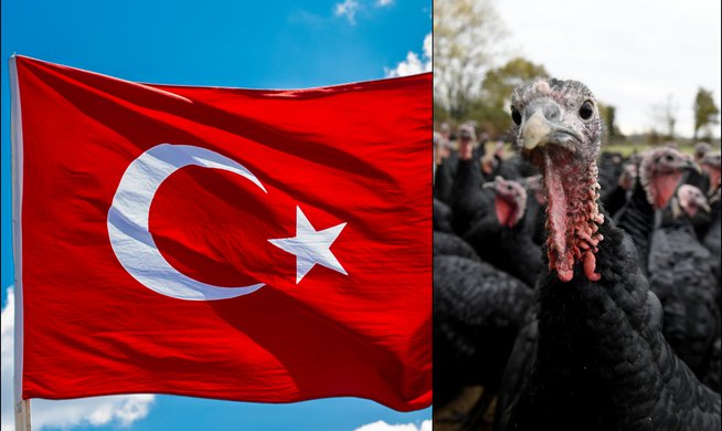 Αλλάζει όνομα η Τουρκία – Επίσημο αίτημα στον ΟΗΕ | ενότητες, κόσμος
