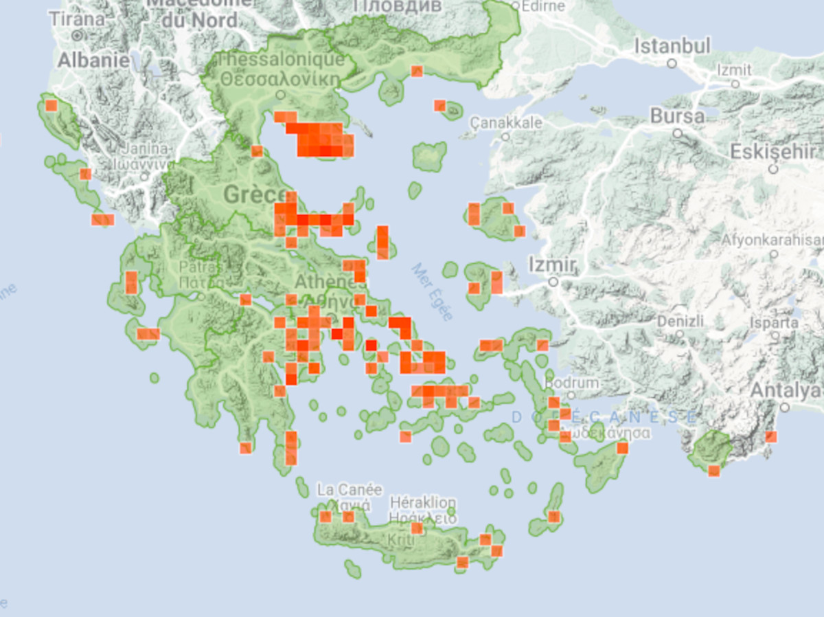 قنديل البحر الأرجواني أثينا وأتيكا - قنديل البحر الأرجواني: خريطة للشواطئ الخطرة - أثينا وأتيكا