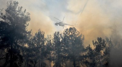 Σε εξέλιξη η πυρκαγιά σε δασική έκταση στο Άγιον Ορος - Επιχειρούν εναέρια μέσα
