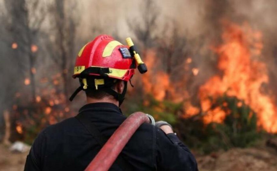 Φωτιά σε δασική έκταση στο δήμο Παγγαίου
