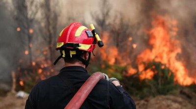 Φωτιά σε δασική έκταση στο δήμο Παγγαίου