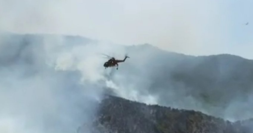 Πύργος: Μάχη με τις φλόγες σε δασική έκταση στην περιοχή Κορυφή - BINTEO