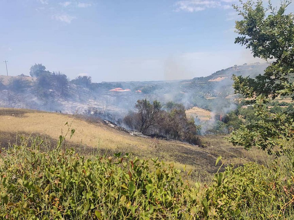 Συναγερμός στην Πυροσβεστική για φωτιά στη Ροδιά Ηλείας – Σηκώθηκαν εναέρια μέσα