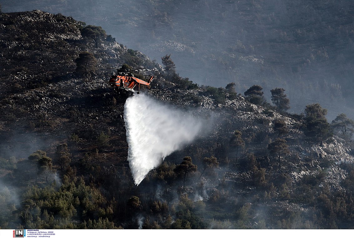 Πόλεμος εμπρηστών στην Ηλεία