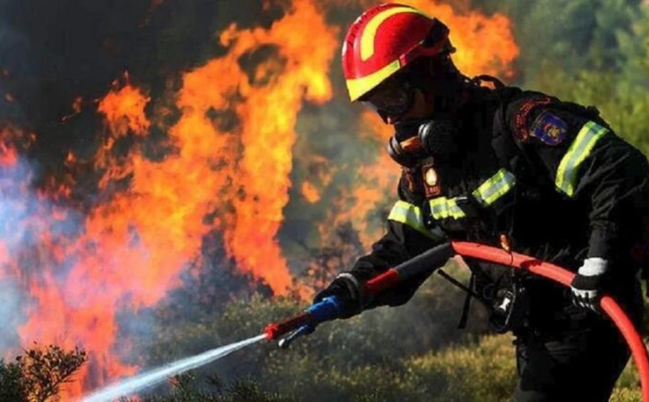 Αύξηση σχεδόν 22% στις πυρκαγιές τους πρώτους 5 μήνες του 2024 σε σχέση με πέρυσι
