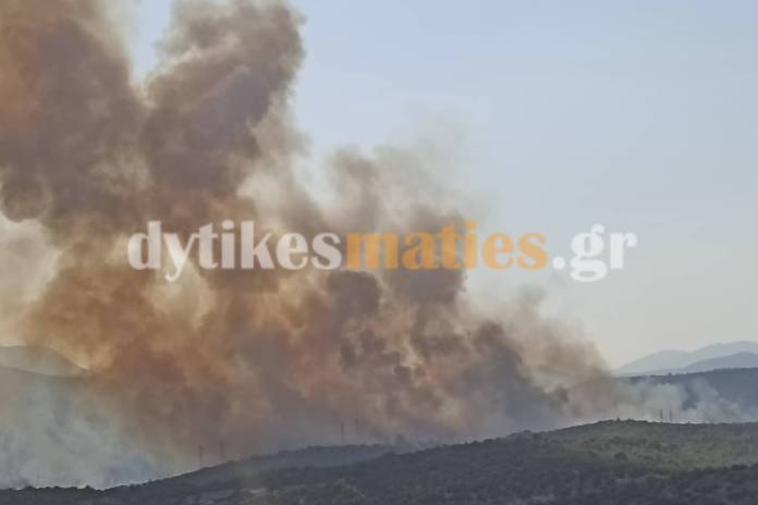 حريق كبير في ماندرا: إخلاء منطقتين نيا زوي ونيوس بونتوس - فيديو