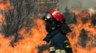 Τρίκαλα: Φωτιά σε δασική έκταση στο Ορθοβούνι - Ήχησε το 112
