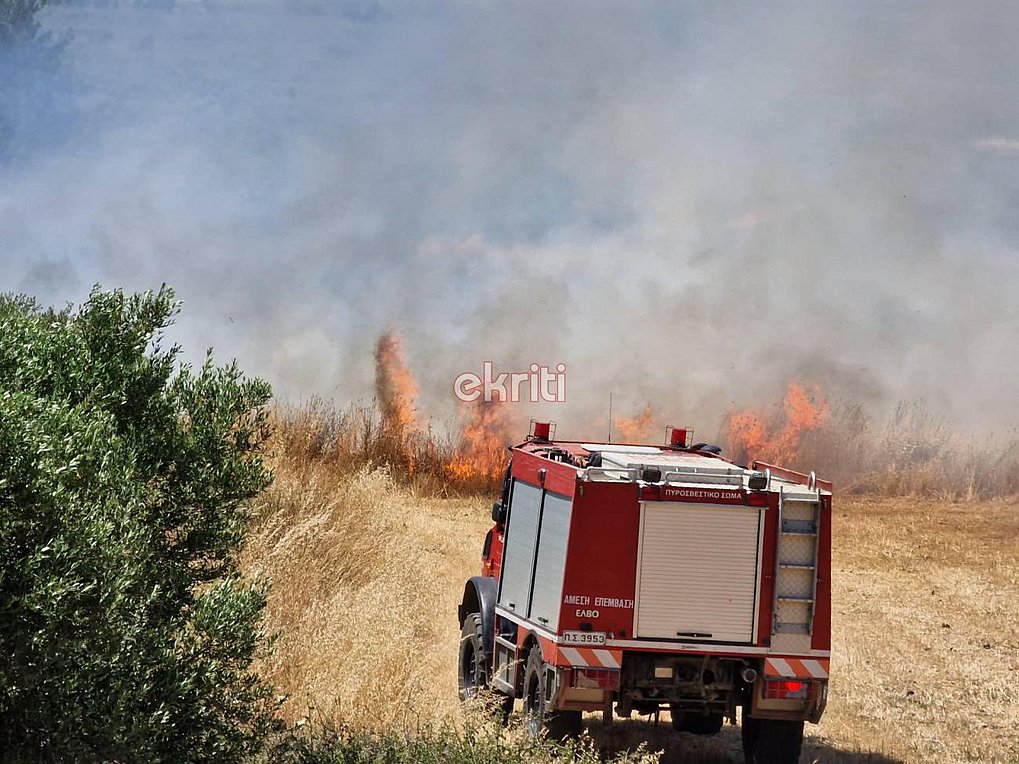 Τρίπολη: Υπό έλεγχο η φωτιά στην περιοχή της Νεστάνης