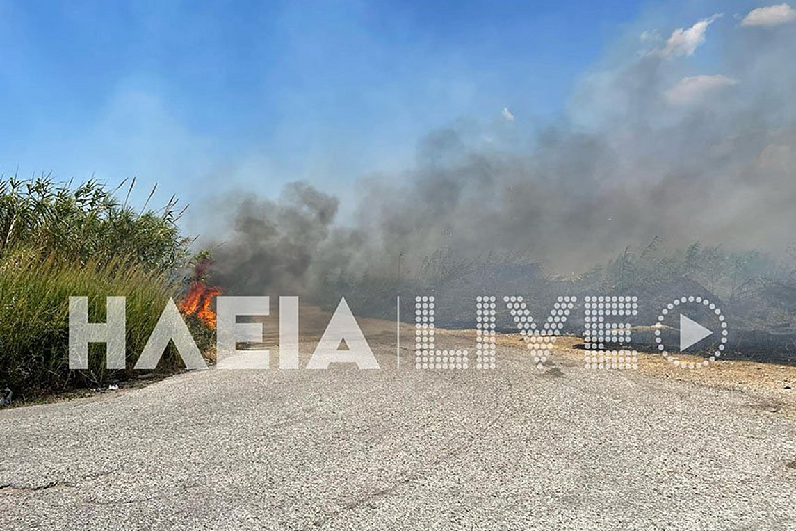 Ηλεία: Πυρκαγιά στην γέφυρα Αλφειού