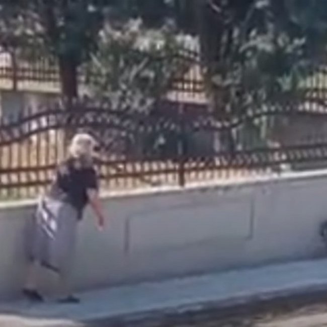 Θεσσαλονίκη: Oργή για βίντεο που δείχνει ηλικιωμένη να πετάει μπαστούνι σε σκυλί - Σχηματίστηκε δικογραφία σε βάρος της 
