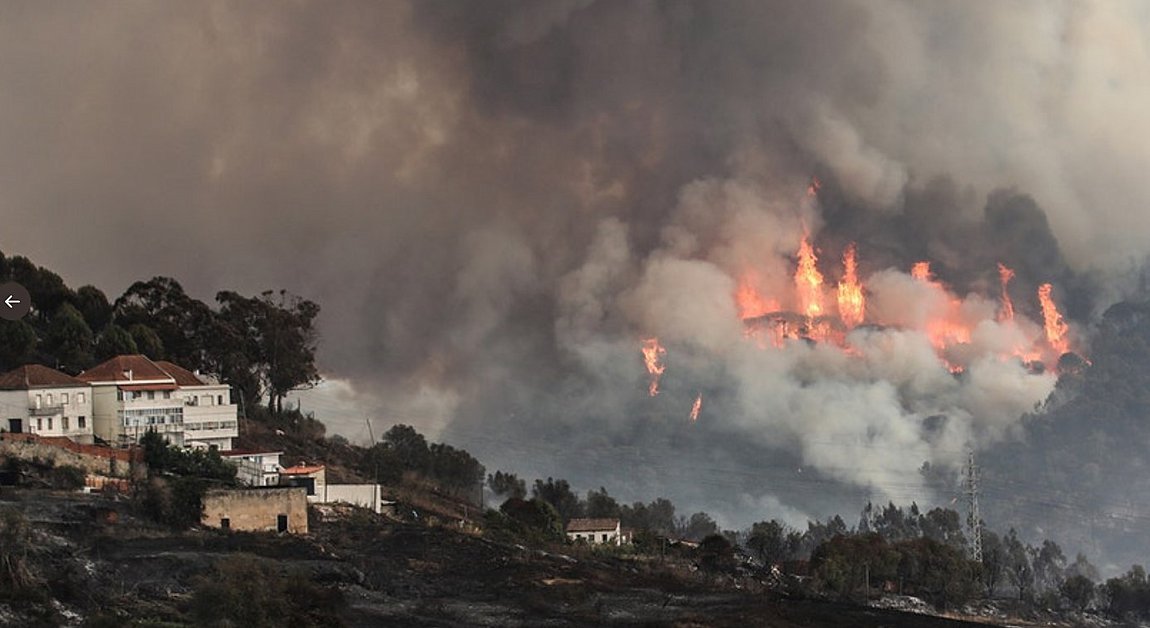 Πορτογαλία: Στις φλόγες εθνικός δρυμός της χώρας