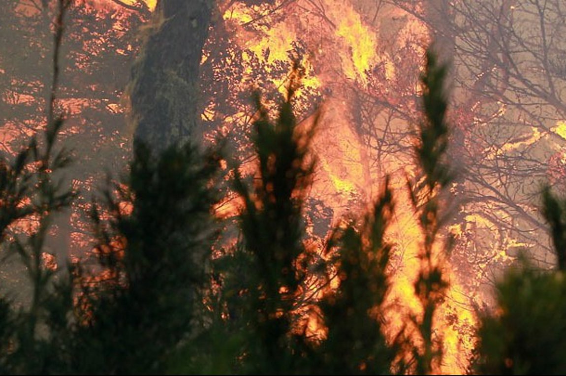 Κίνα: Δασικές πυρκαγιές μαίνονται σε νοτιοδυτικές περιοχές