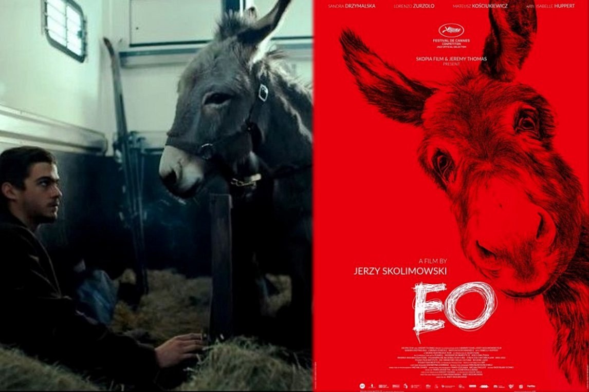 Ο γαϊδαράκος «EO» στη διεθνή κούρσα για τα Όσκαρ – Βίντεο