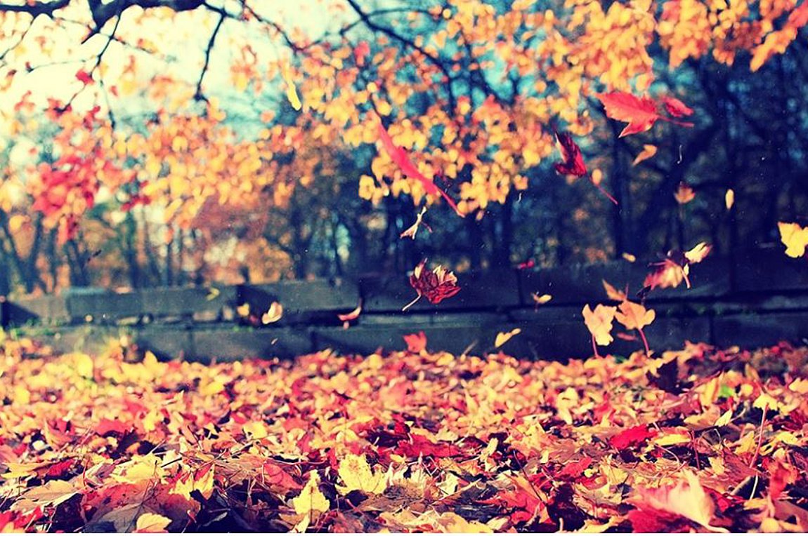 Φθινοπωρινή ισημερία: Αύριο ξεκινά και τυπικά το φθινόπωρο