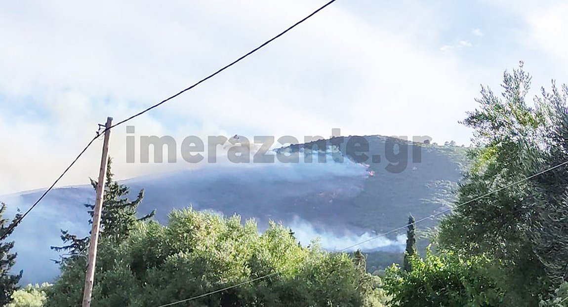 Συναγερμός στη Ζάκυνθο: Σε εξέλιξη μεγάλη φωτιά σε δασική έκταση – Βίντεο – Εικόνες