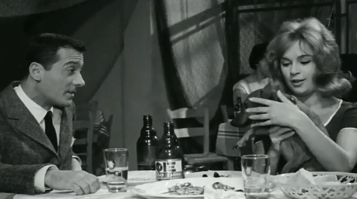 Finos Film: Το απολαυστικό βίντεο για την Παγκόσμια Ημέρα των Ζώων