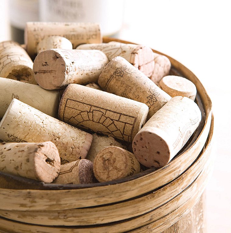 Φελλός: Ο φύλακας της γεύσης