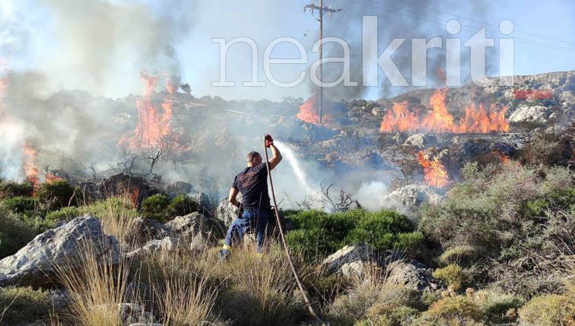 Νέα πυρκαγιά στο δάσος της Κέρης – Μεγάλη επιχείρηση της Πυροσβεστικής