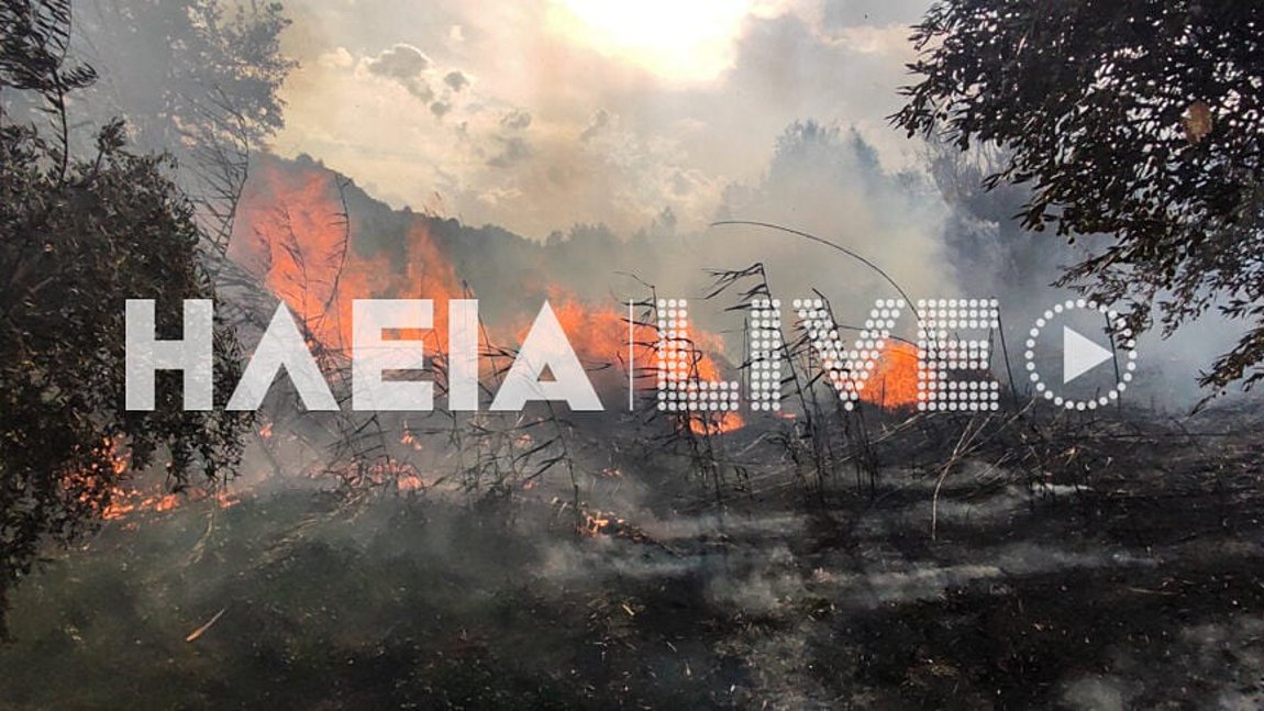 Ηλεία: Σε εξέλιξη πυρκαγιά σε δασική έκταση