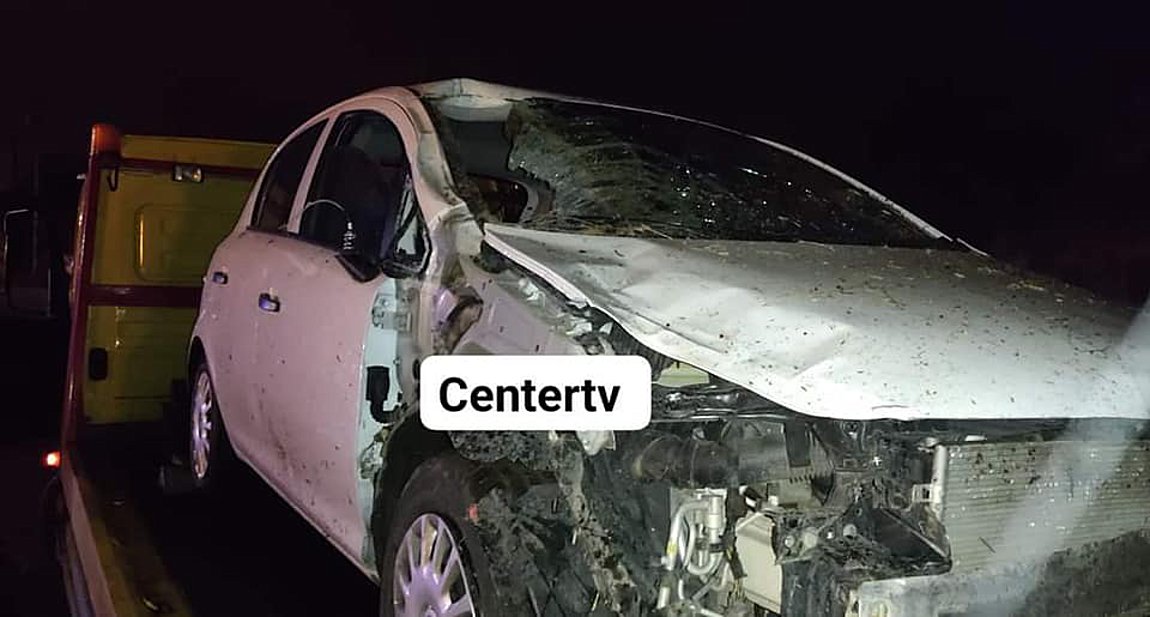 Τράκαρε με αγελάδα στην Εθνική Οδό