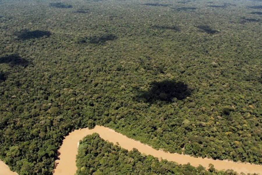 Μελέτη: Πάνω από το ένα τρίτο του δάσους του Αμαζονίου μπορεί να έχει υποβαθμιστεί από την ανθρώπινη δραστηριότητα και την ξηρασία