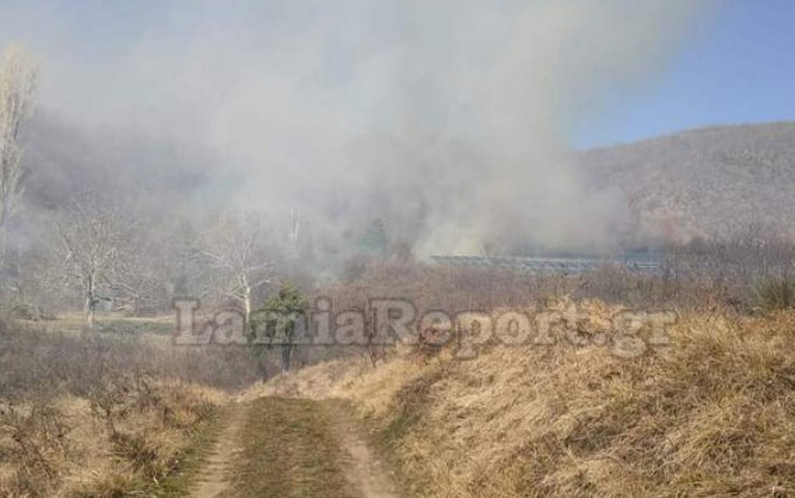 Φθιώτιδα: Πυρκαγιά στο Ροβολιάρι Μακρακώμης