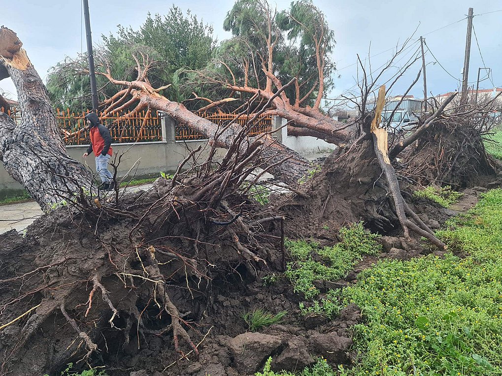Προβλήματα στη Λέσβο λόγω κακοκαιρίας: Πτώσεις δένδρων και βράχων – Βίντεο