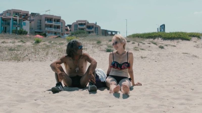 Ο τελευταίος γλάρος