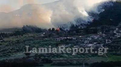 Συναγερμός στη Φθιώτιδα: Μεγάλη πυρκαγιά στη Μενδενίτσα - Βίντεο 
