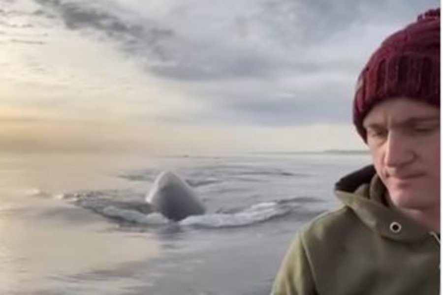 Έκαναν καγιάκ σε απόσταση αναπνοής από φάλαινα - Βίντεο στο TikTok που κόβει την ανάσα