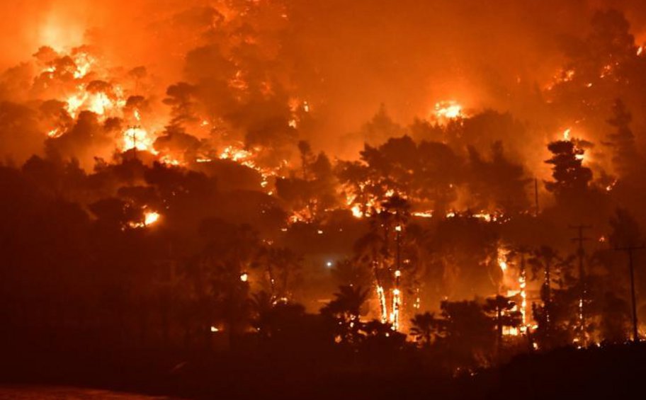 Καζακστάν: 14 νεκροί από τις δασικές πυρκαγιές στο βορειοανατολικό τμήμα της χώρας