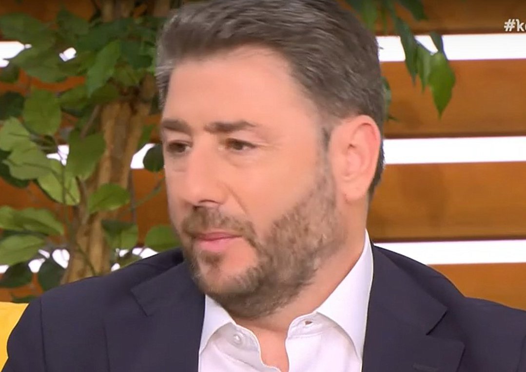 Ο Ν. Ανδρουλάκης για τη Έυα Καϊλή: «Δεν έχουμε απολύτως καμία σχέση»