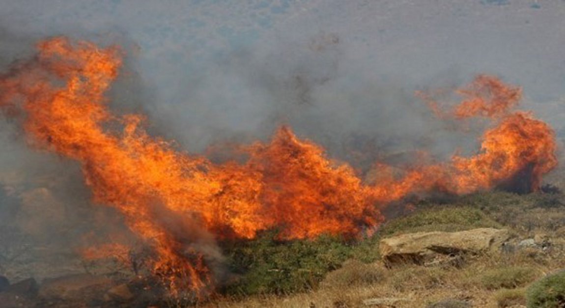 Πυρκαγιά σε χαμηλή βλάστηση στην περιοχή Ακόντιο Βοιωτίας