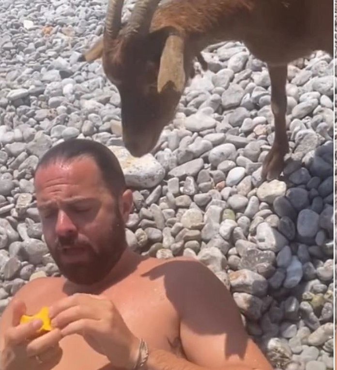 Ηλίας Βρεττός: Κατσίκα του «επιτέθηκε» για ένα… ροδάκινο – ΒΙΝΤΕΟ