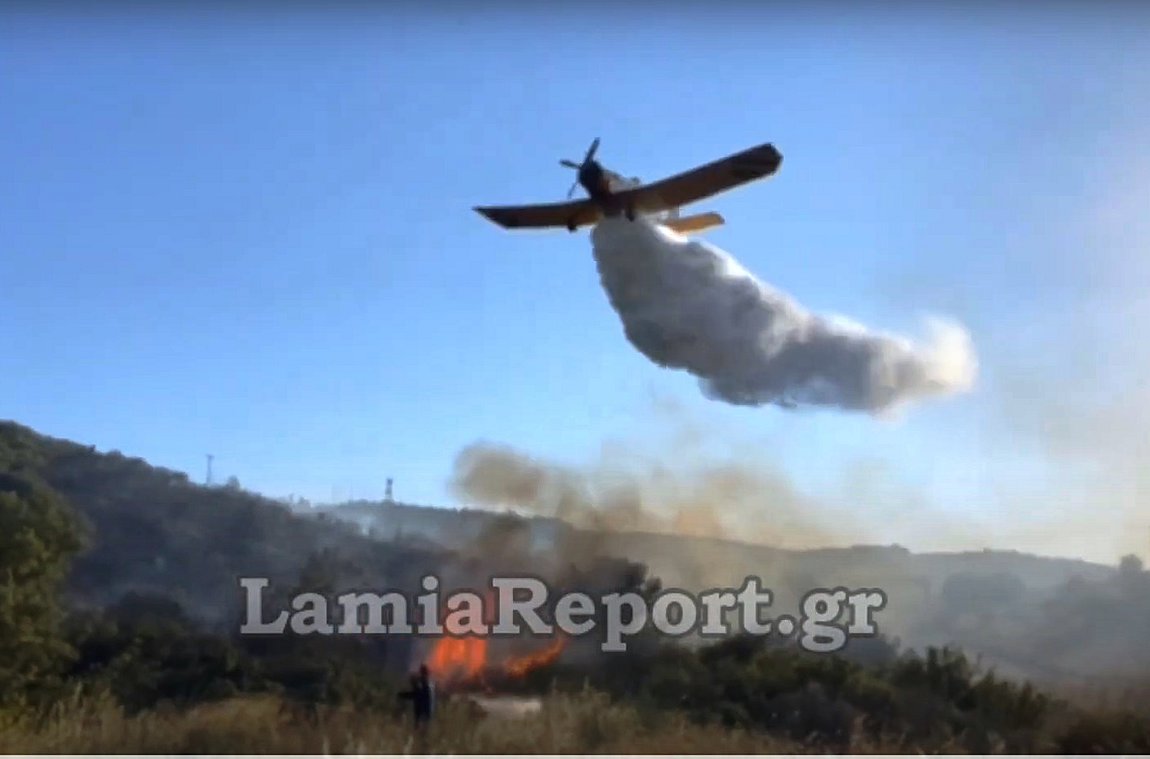 Λαμία: Οριοθετήθηκε πυρκαγιά που ξέσπασε στην περιοχή Προφήτης Ηλίας – Βίντεο