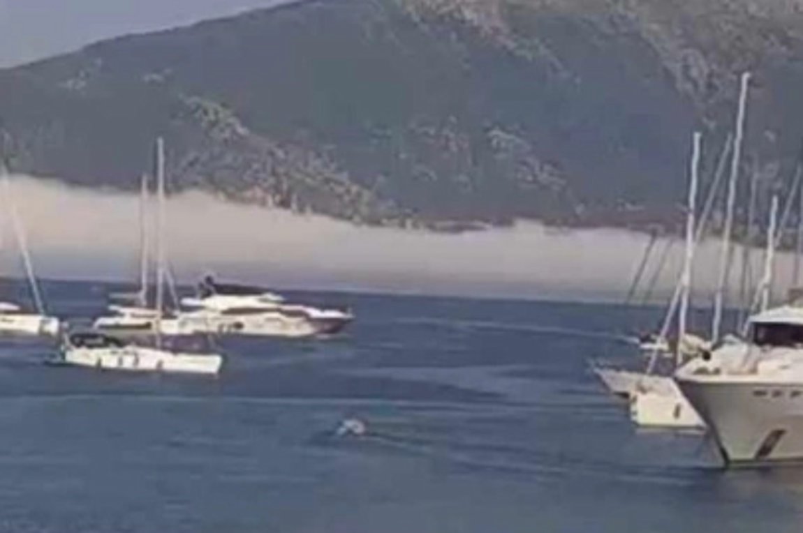 Ιθάκη: Το σπάνιο φαινόμενο arctic sea smoke που κάλυψε το νησί Άτοκο