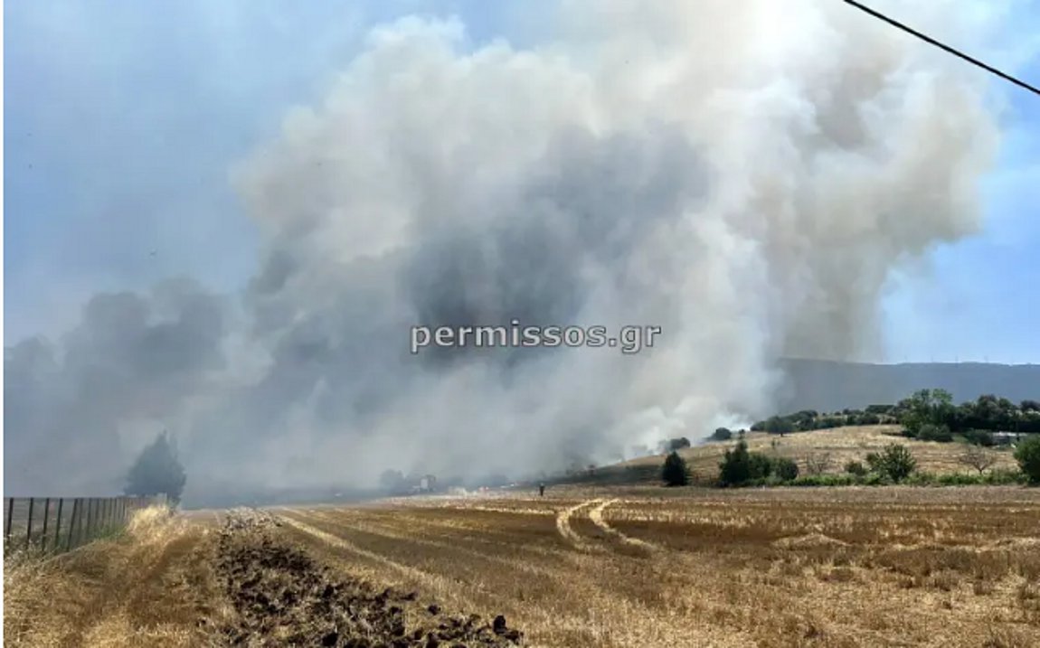 Πυρκαγιά σε δασική έκταση στο Πάνακτο Βοιωτίας