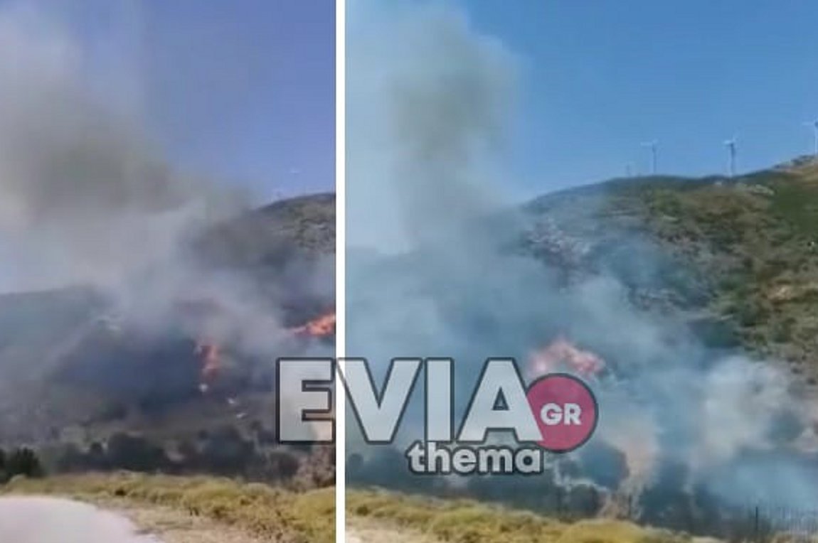 Φωτιές σε Κάρυστο και Υλίκη