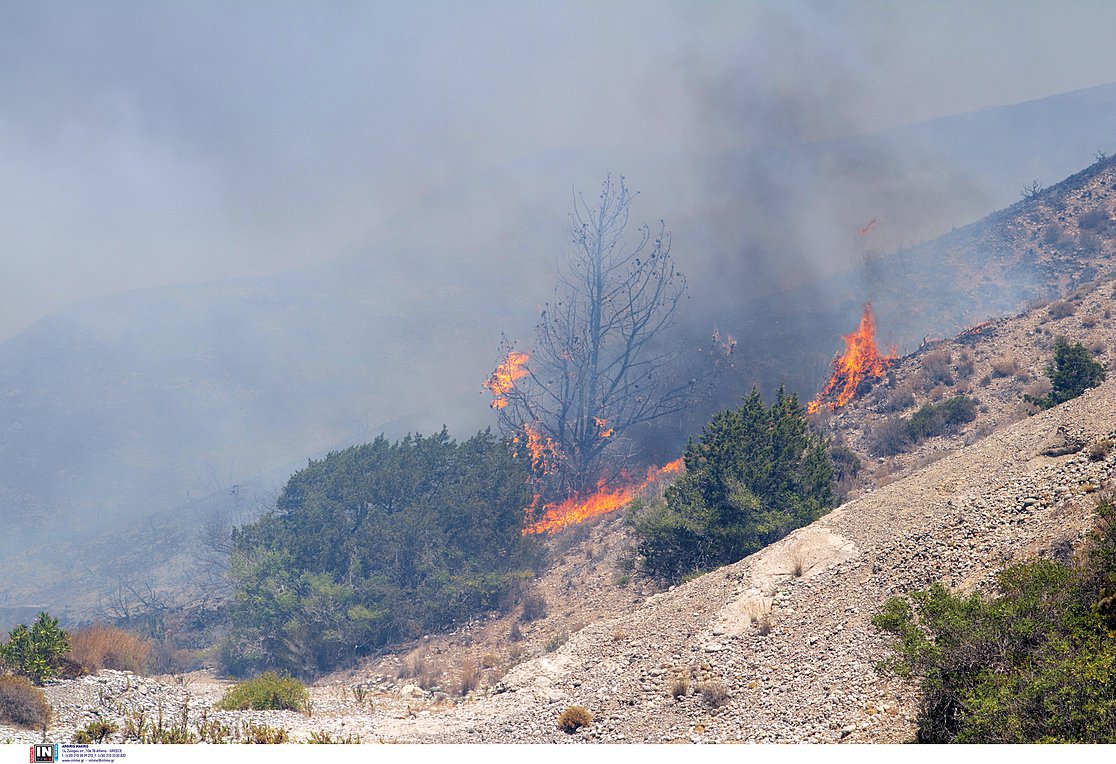 Πυροσβεστική: Συνολικά 53 δασικές πυρκαγιές το τελευταίο εικοσιτετράωρο