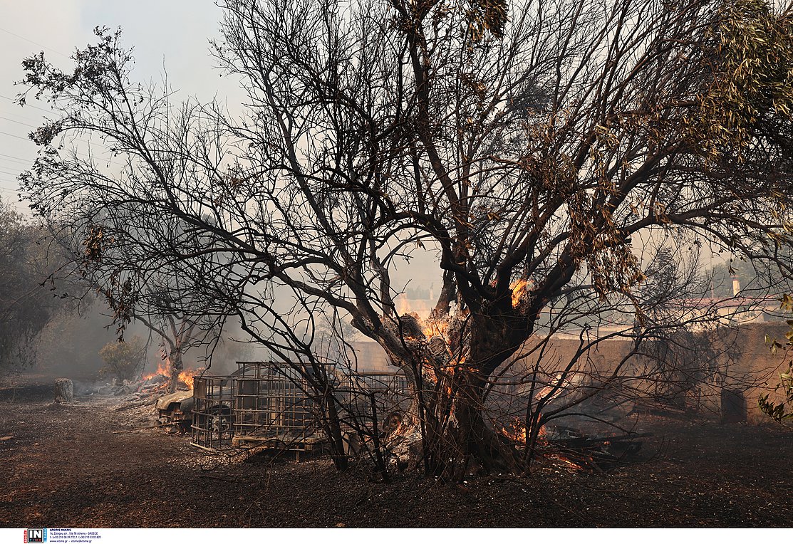 Πυρκαγιές: Οι περισσότερες καμένες εκτάσεις των τελευταίων 13 ετών στα τέλη Ιουλίου