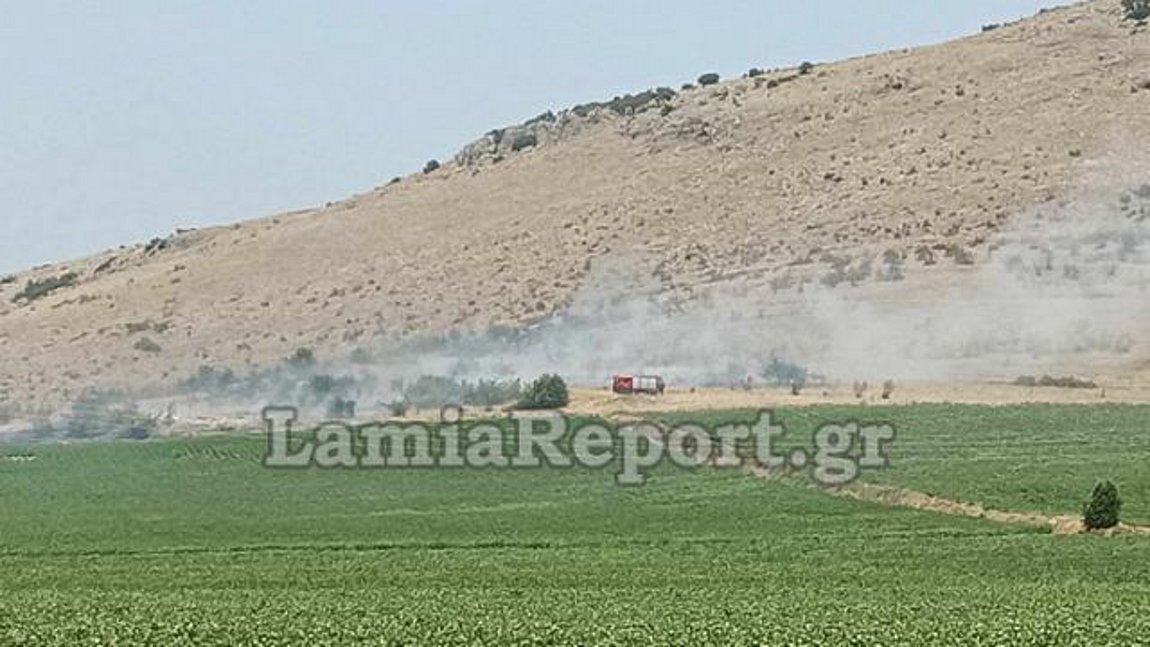 Συναγερμός στη Φθιώτιδα: Πυρκαγιά στο Νέο Μοναστήρι – Κάηκε κολώνα της ΔΕΗ