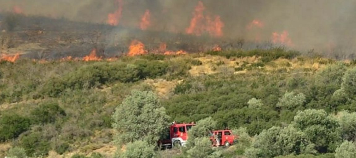 Μεσσηνία: Μεγάλη φωτιά τώρα στο Γλυκορρίζι-Επιχειρούν 6 αεροσκάφη