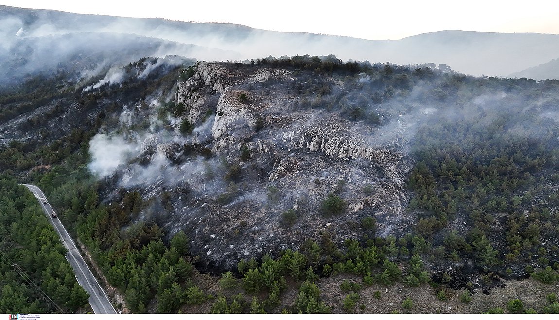 Πυροσβεστική: 44 δασικές πυρκαγιές εκδηλώθηκαν το τελευταίο εικοσιτετράωρο