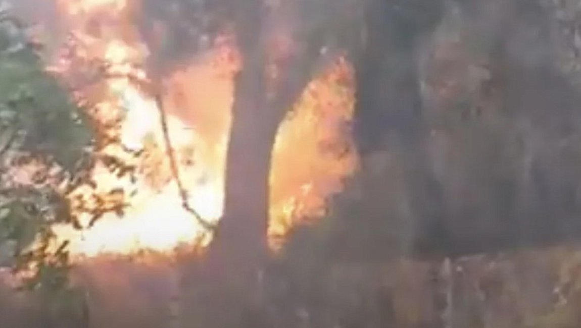 Κέρκυρα: Ξέσπασε φωτιά στο Τεμπλόνι