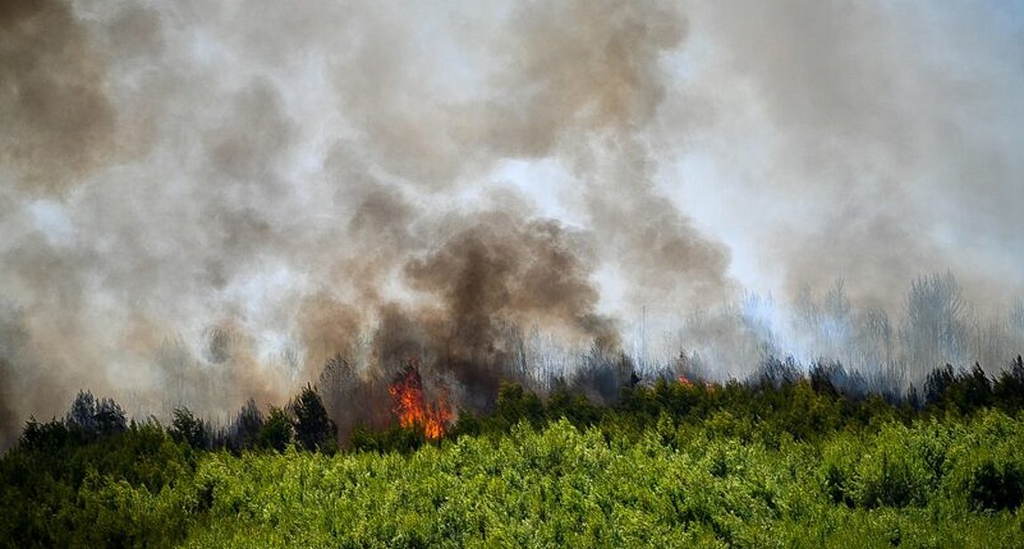 Κάρυστος: Μάχη με τις φλόγες στον Μελισσώνα δίνουν οι πυροσβεστικές δυνάμεις