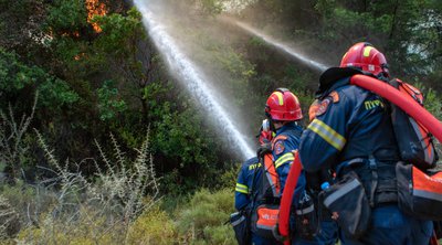 Πυροσβεστική: 44 αγροτοδασικές πυρκαγιές μέσα σε 24 ώρες