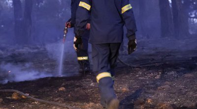 Θεσσαλονίκη: Υπό μερικό έλεγχο η πυρκαγιά σε χαμηλή βλάστηση στον Λαγκαδά